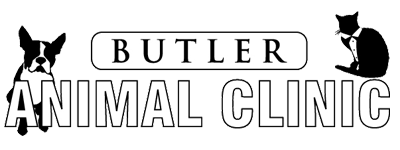 butlers animal clinic